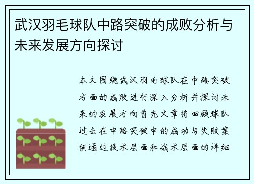 武汉羽毛球队中路突破的成败分析与未来发展方向探讨