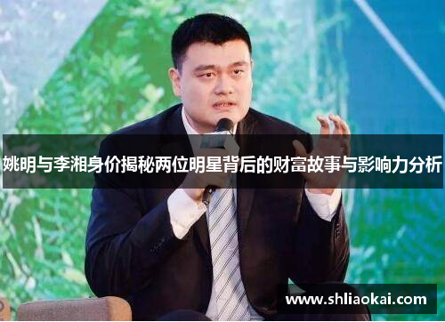 姚明与李湘身价揭秘两位明星背后的财富故事与影响力分析