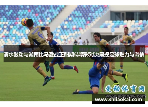 清水鼓动与湖南比马激战正酣期待精彩对决展现足球魅力与激情