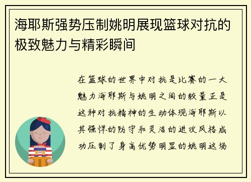 海耶斯强势压制姚明展现篮球对抗的极致魅力与精彩瞬间